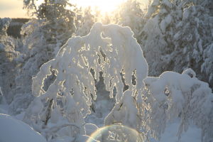 Solen i samarbete med snön. Foto Torbjörn SAndling