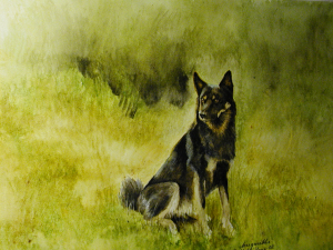 Hunden målad i akvarell av Margaretha